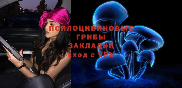 ешки Краснослободск